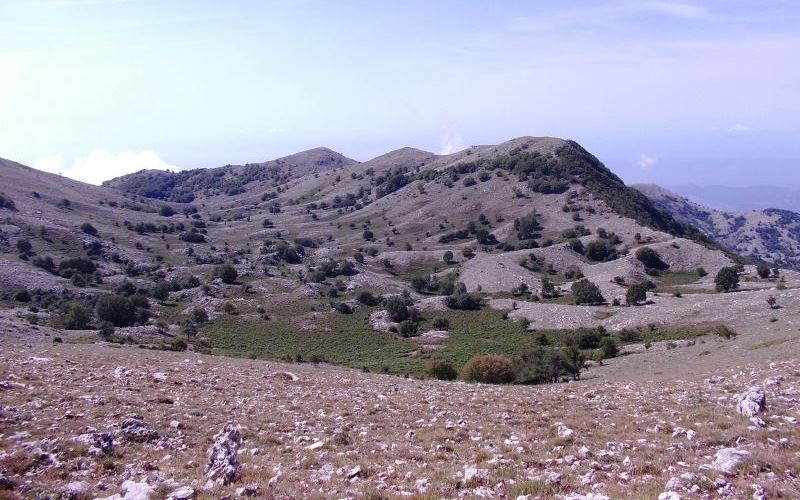 Valle di Sciro vista da Monte Ruazzo
