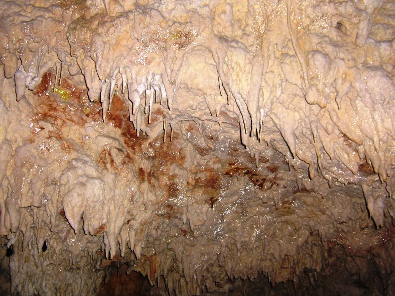 stalattiti nella sala grande della grotta dei merci